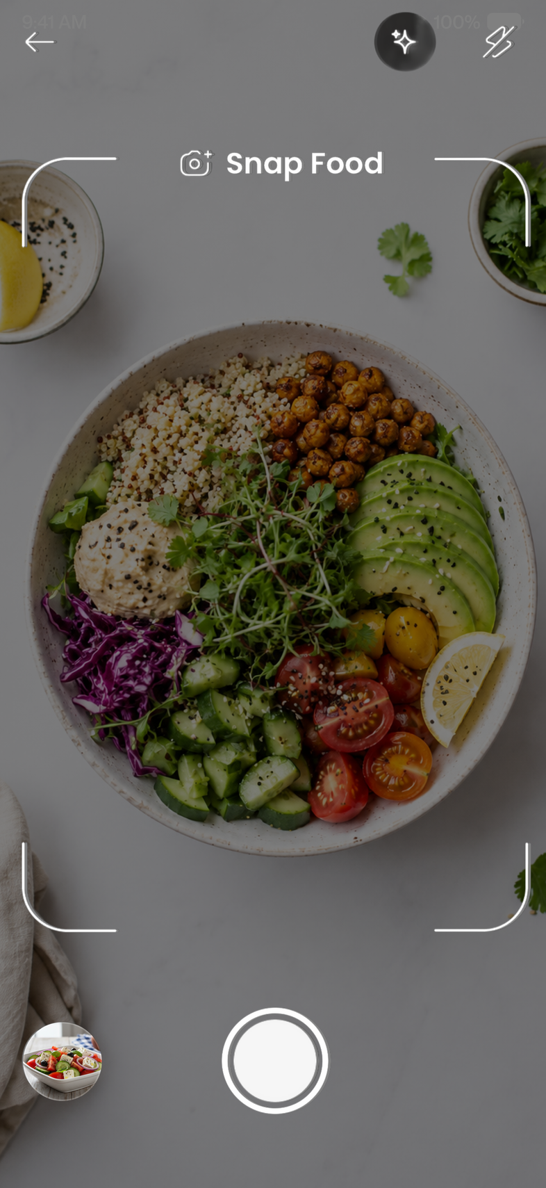 Scan tab showing the camera aimed at a bowl of food